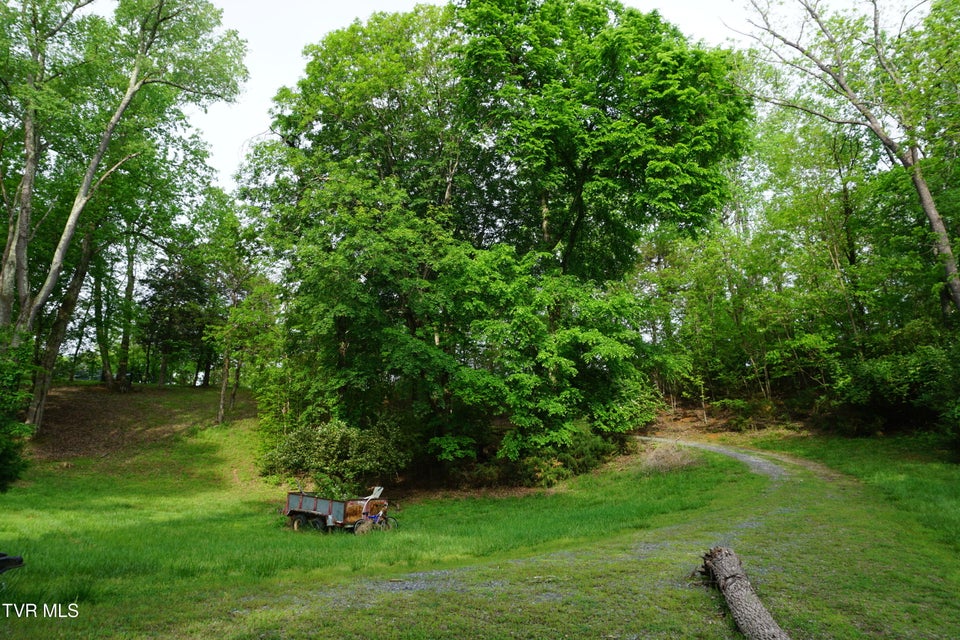Photo #33: 500 Candy Creek Private Drive