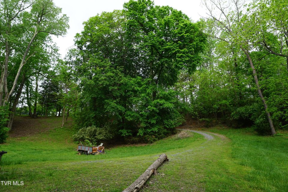 Photo #34: 500 Candy Creek Private Drive