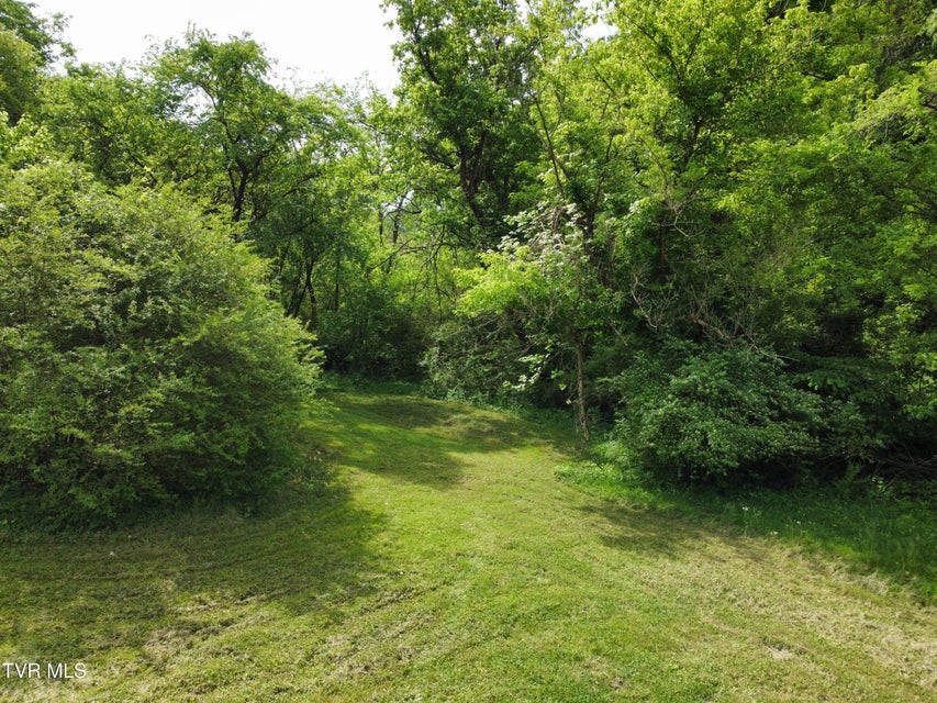 Photo #9: 119 Red Row Rd Road