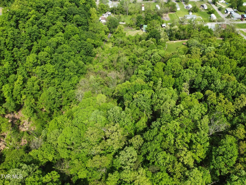 Photo #8: 119 Red Row Rd Road