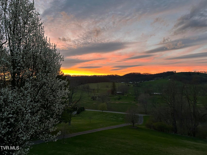 Photo #62: 12138 Dettor Road