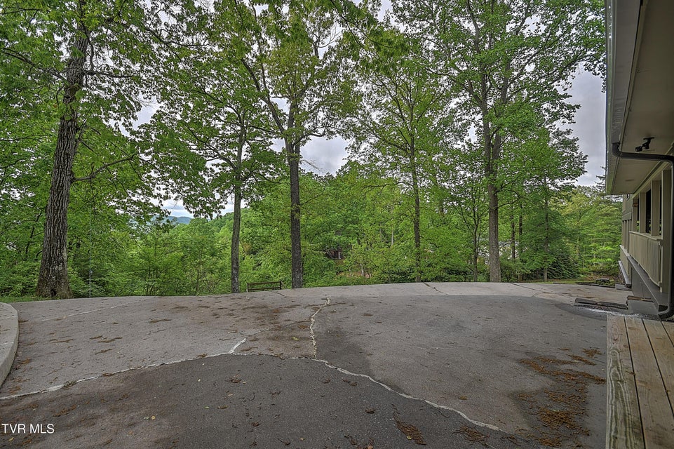 Photo #63: 124 Skyline Drive