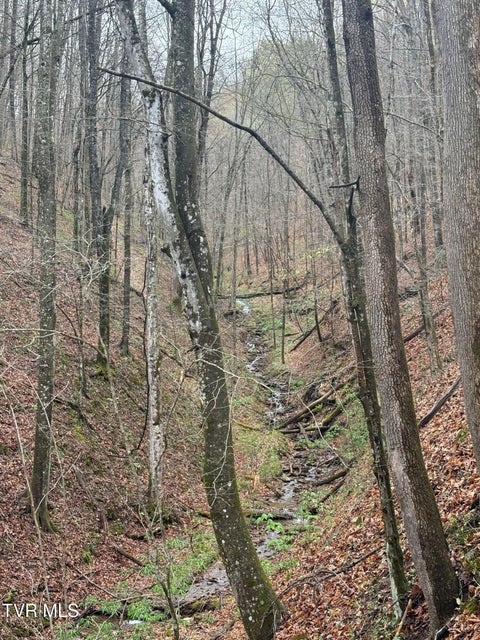Photo #3: 0 Wagoner Town Road
