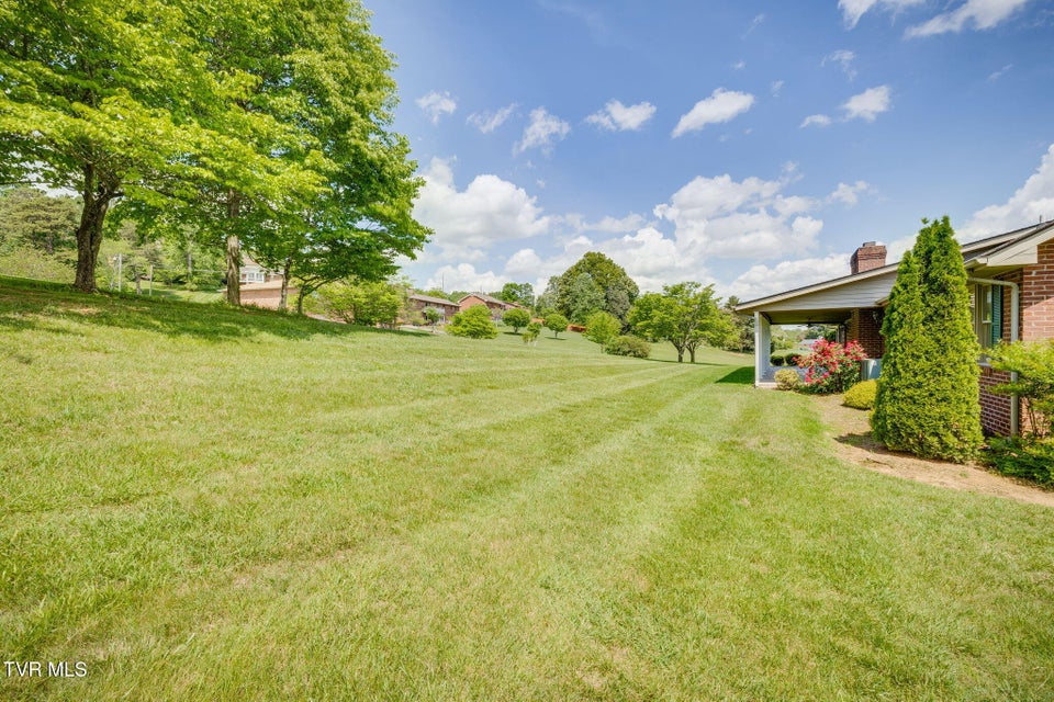 Photo #41: 2114 Bloomingdale Road