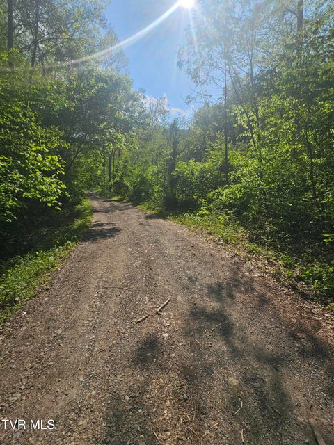 Photo #13: 1097 Peter Pan Road