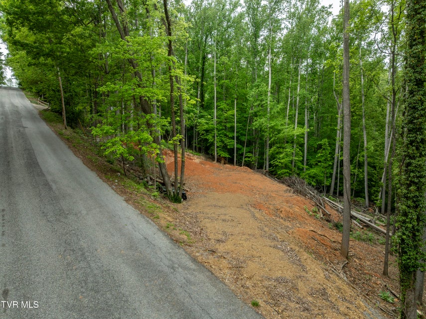 Photo #9: Lot 6 Briarwood Road