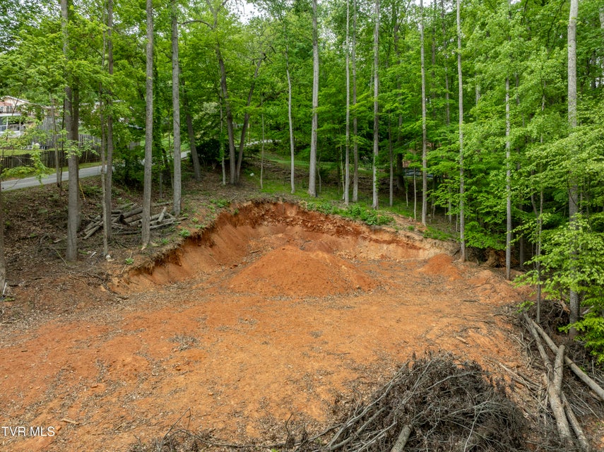 Photo #2: Lot 6 Briarwood Road