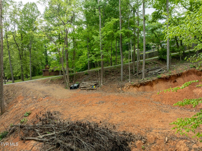 Photo #3: Lot 6 Briarwood Road