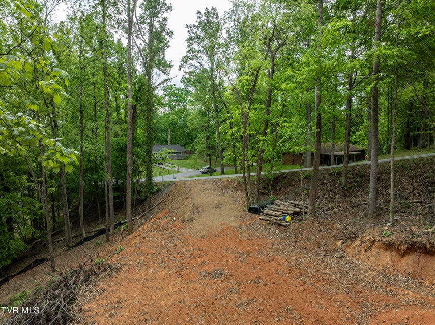 Photo #4: Lot 6 Briarwood Road