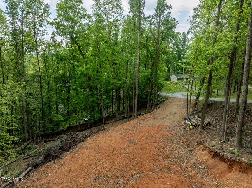 Photo #5: Lot 6 Briarwood Road