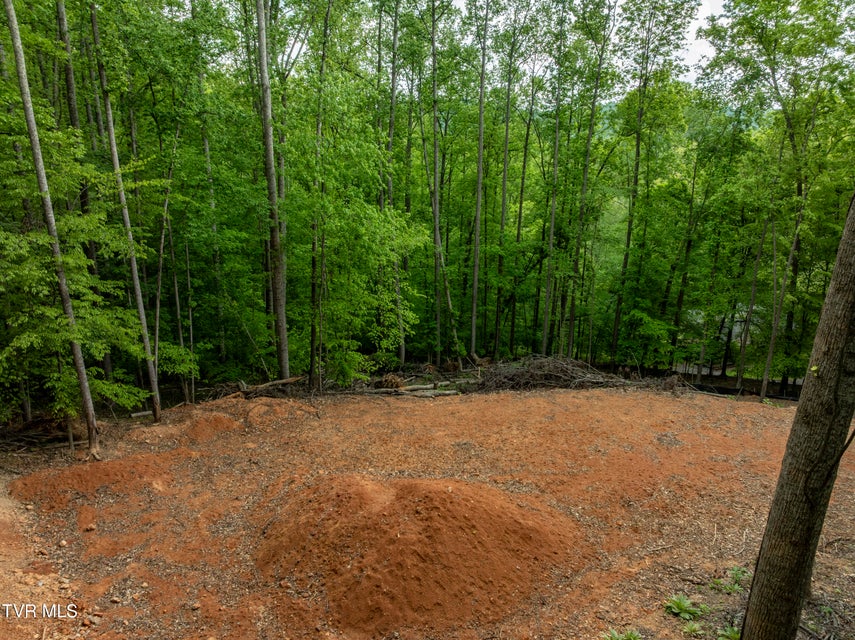 Photo #6: Lot 6 Briarwood Road