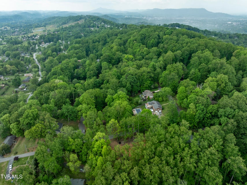 Photo #10: Lot 6 Briarwood Road