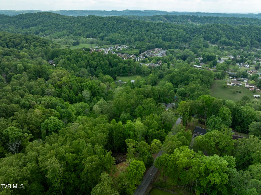 Photo #12: Lot 6 Briarwood Road