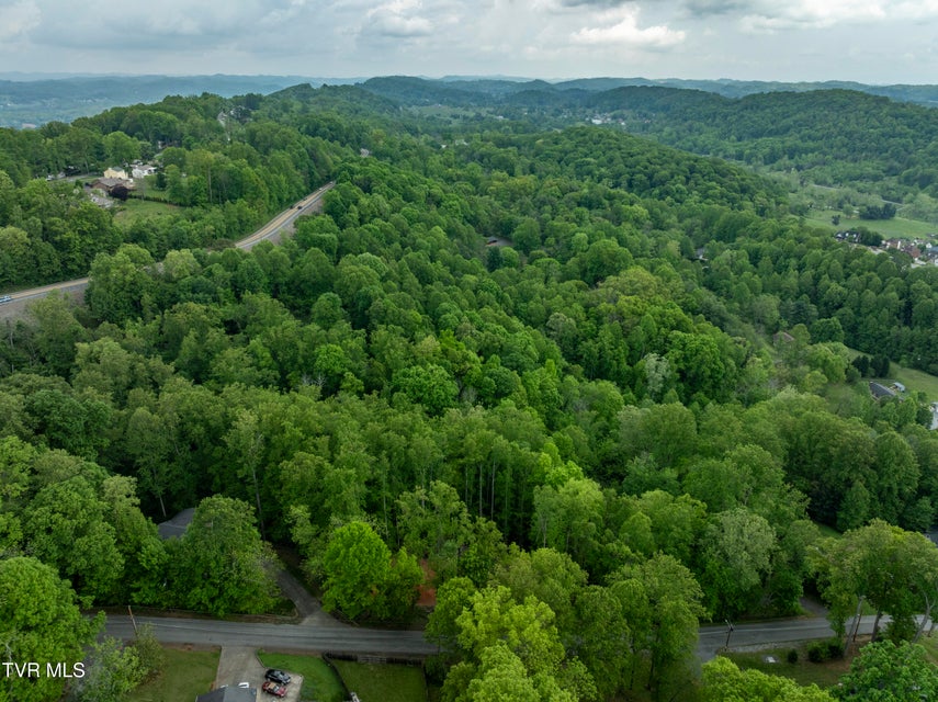 Photo #13: Lot 6 Briarwood Road