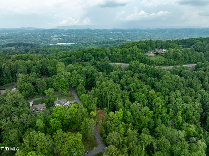 Photo #14: Lot 6 Briarwood Road