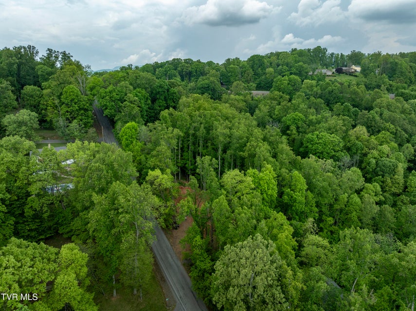 Photo #15: Lot 6 Briarwood Road
