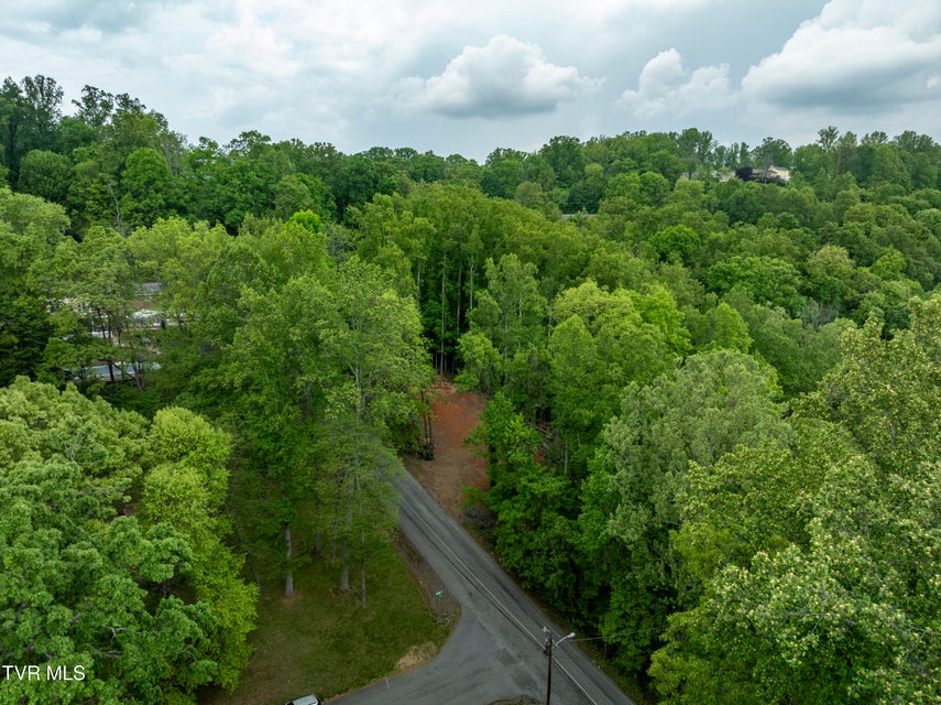 Photo #16: Lot 6 Briarwood Road