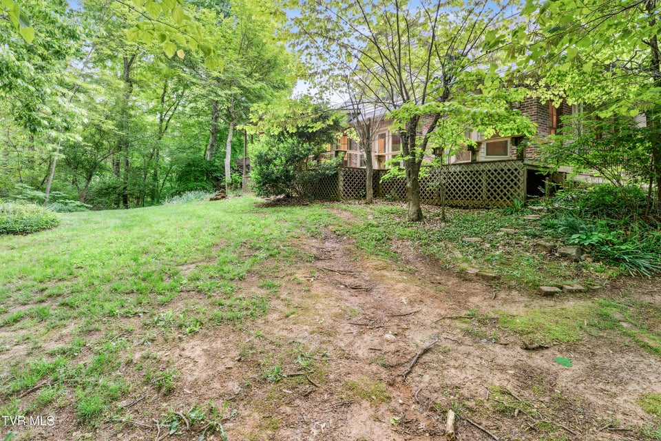 Photo #56: 239 Cabindale Road