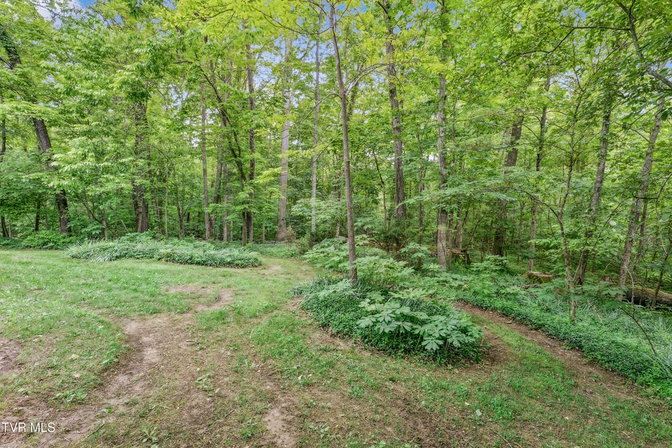 Photo #57: 239 Cabindale Road