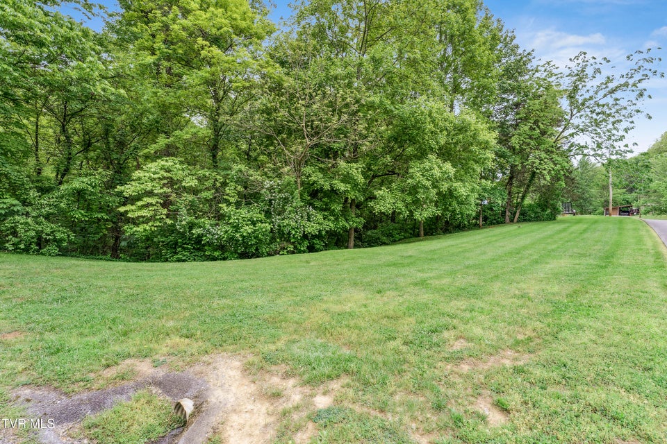 Photo #58: 239 Cabindale Road