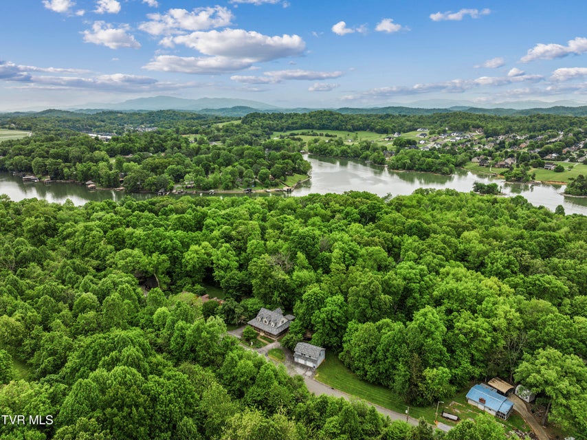 Photo #59: 239 Cabindale Road