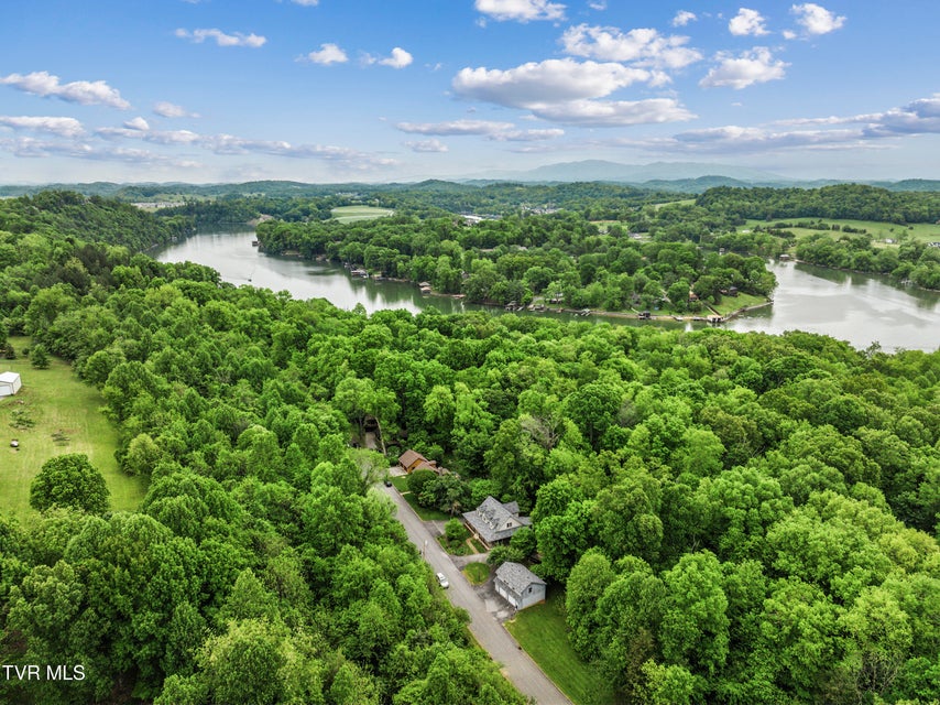 Photo #60: 239 Cabindale Road
