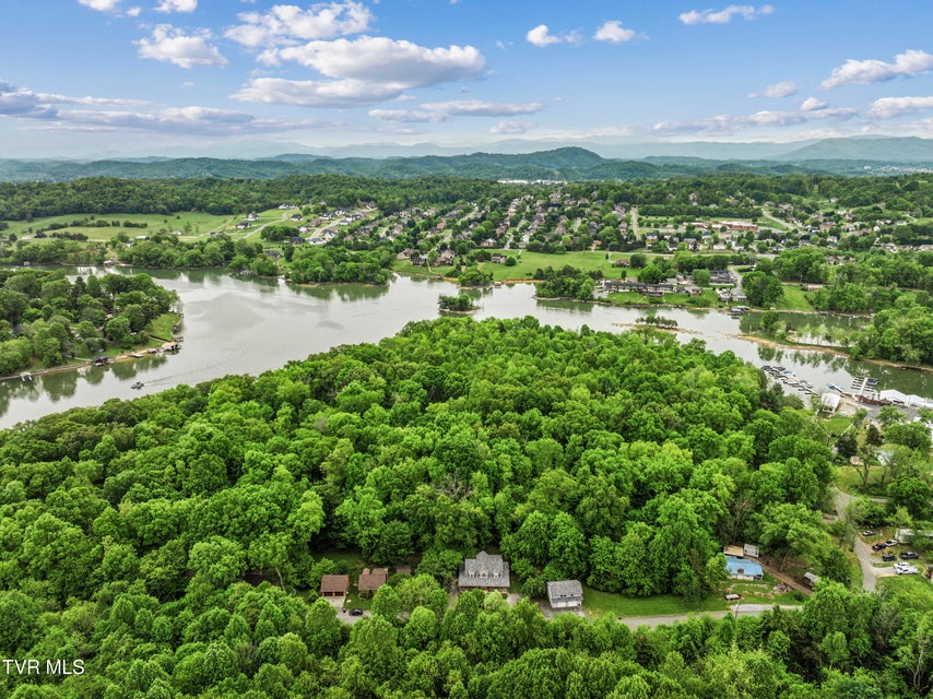 Photo #61: 239 Cabindale Road