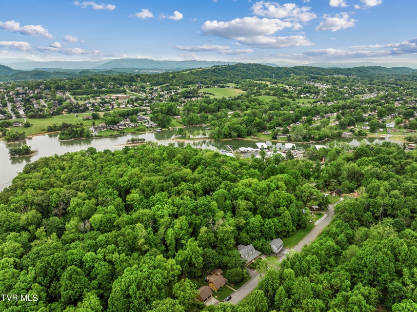 Photo #62: 239 Cabindale Road