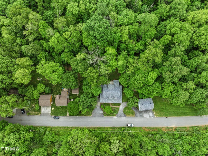 Photo #63: 239 Cabindale Road