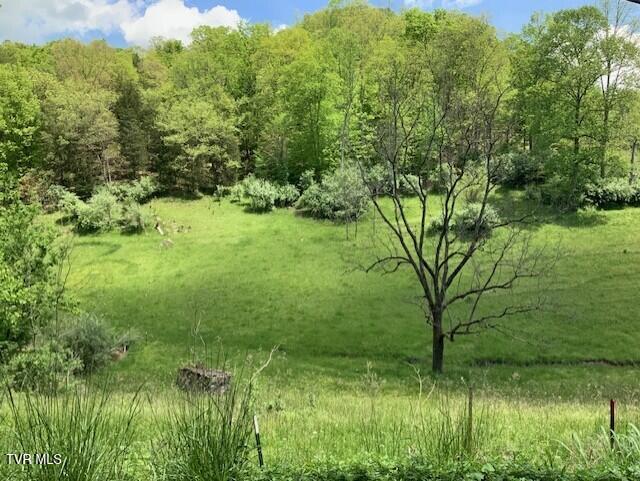 Photo #2: 1478 Bellamy Tipton Road