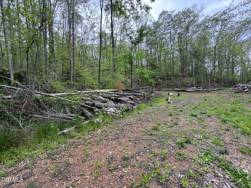 Photo #37: 7311 Rocky Fork Road