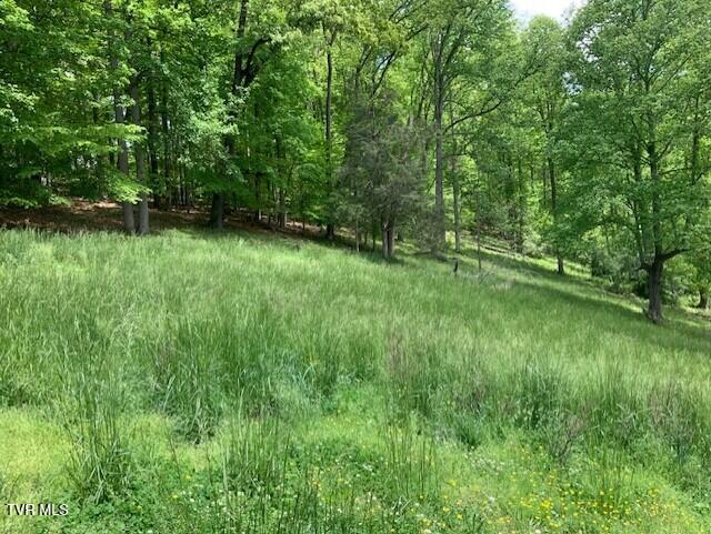 Photo #5: 1478 Bellamy Tipton Road