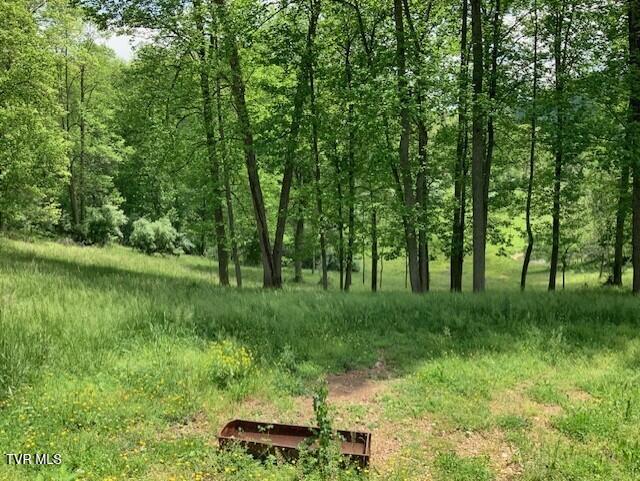 Photo #6: 1478 Bellamy Tipton Road