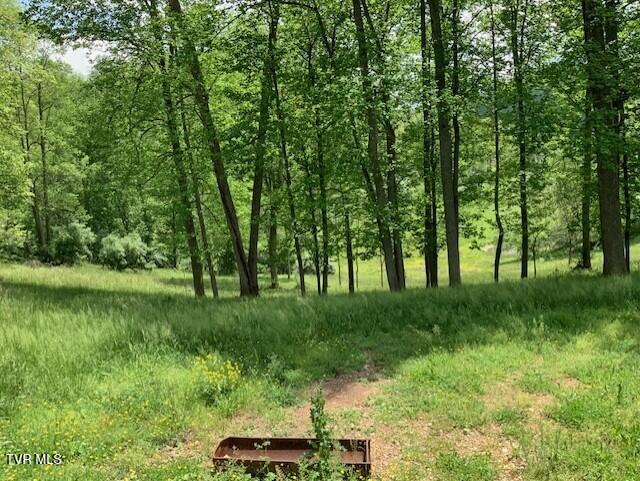 Photo #7: 1478 Bellamy Tipton Road
