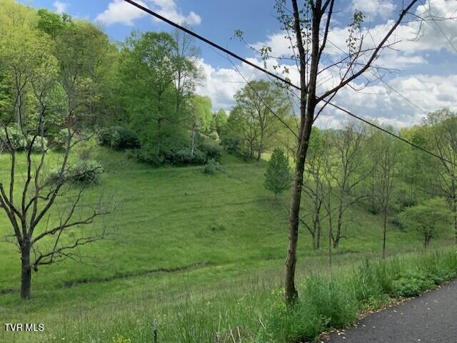 Photo #9: 1478 Bellamy Tipton Road