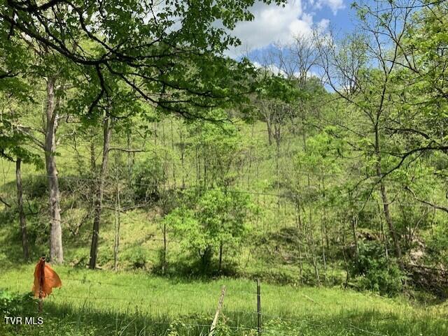 Photo #10: 1478 Bellamy Tipton Road