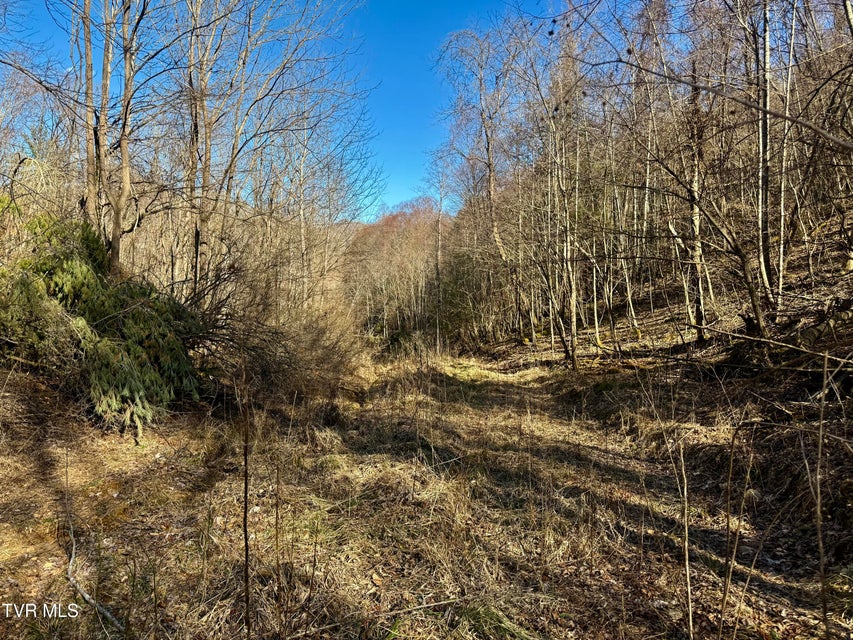 Photo #2: 207/Ac Tbd Highway 421