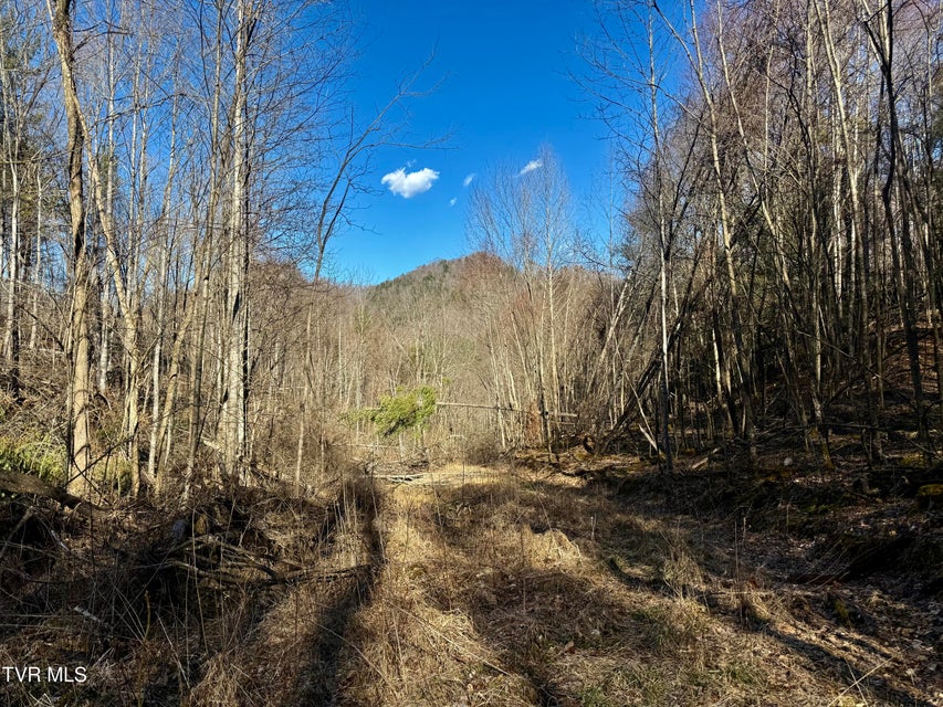 Photo #3: 207/Ac Tbd Highway 421