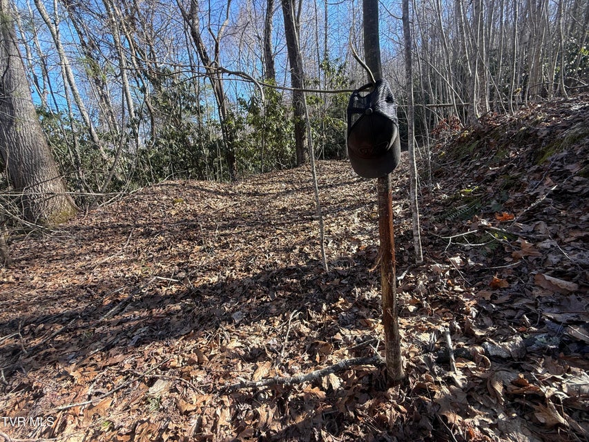 Photo #7: 207/Ac Tbd Highway 421