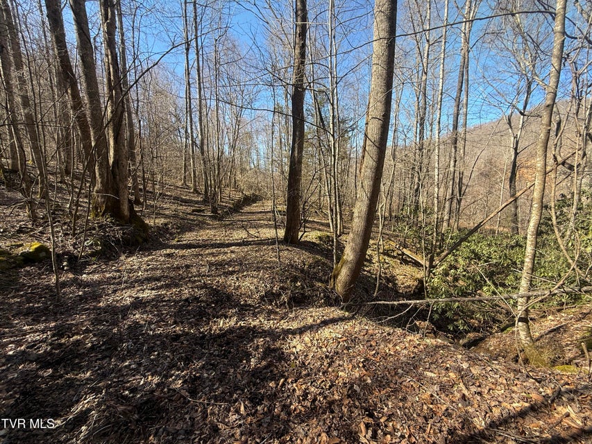 Photo #8: 207/Ac Tbd Highway 421