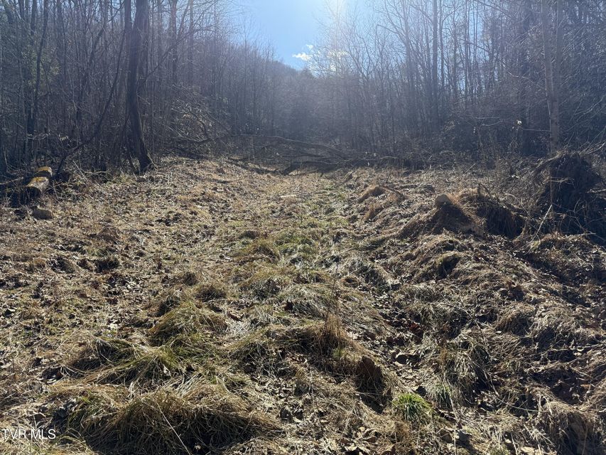 Photo #9: 207/Ac Tbd Highway 421