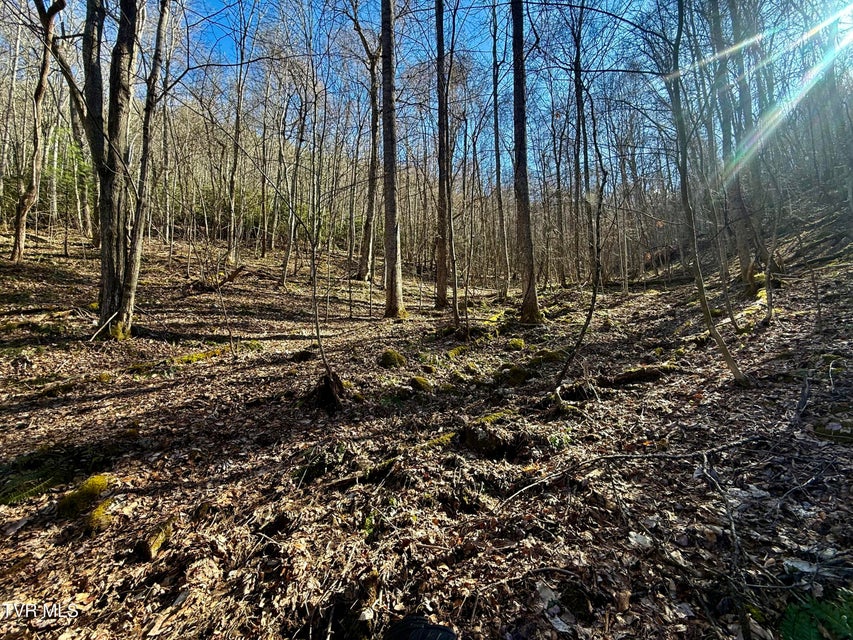 Photo #10: 207/Ac Tbd Highway 421