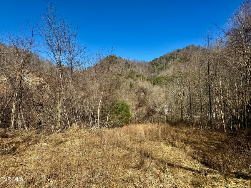 Photo #11: 207/Ac Tbd Highway 421