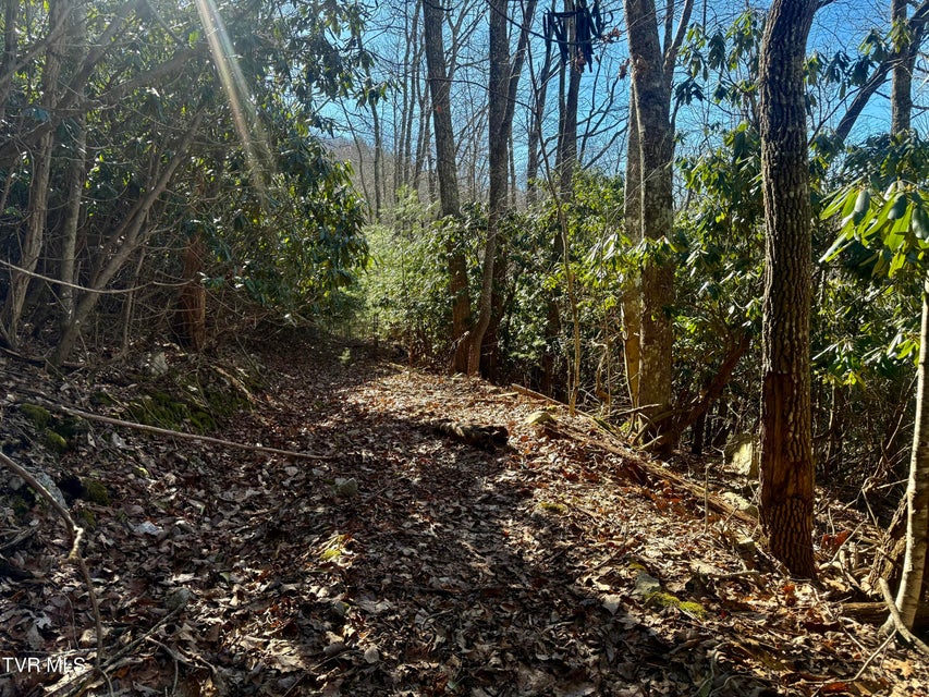 Photo #13: 207/Ac Tbd Highway 421