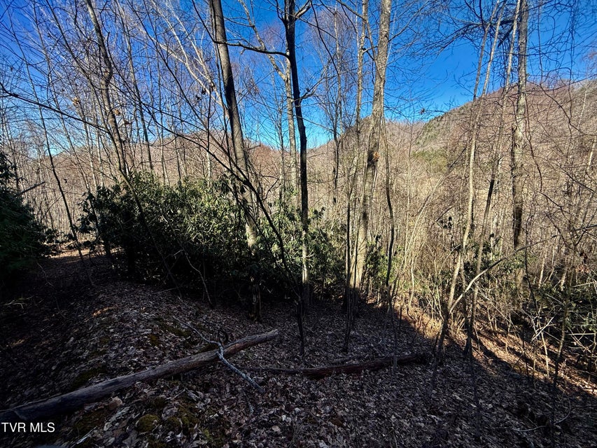 Photo #14: 207/Ac Tbd Highway 421