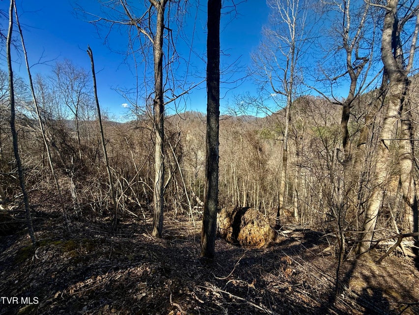 Photo #15: 207/Ac Tbd Highway 421