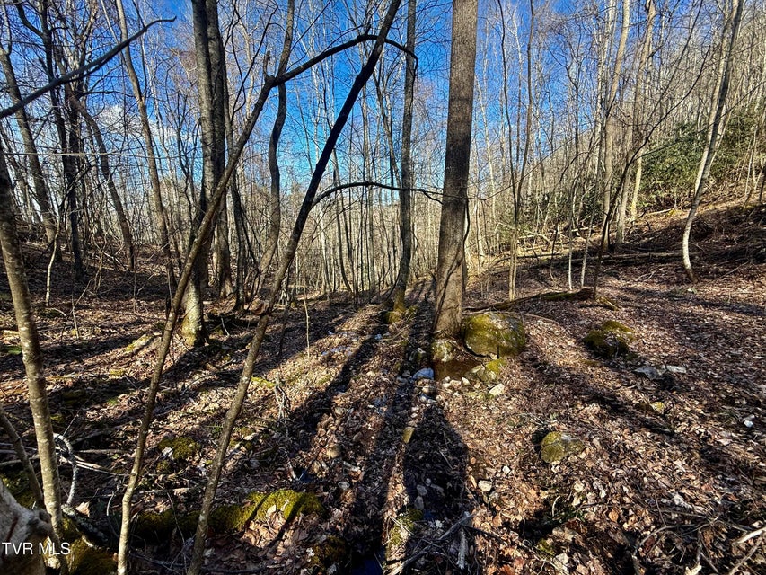 Photo #16: 207/Ac Tbd Highway 421
