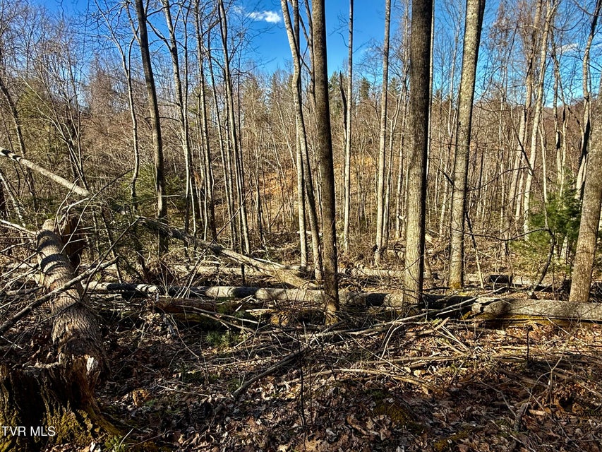 Photo #17: 207/Ac Tbd Highway 421
