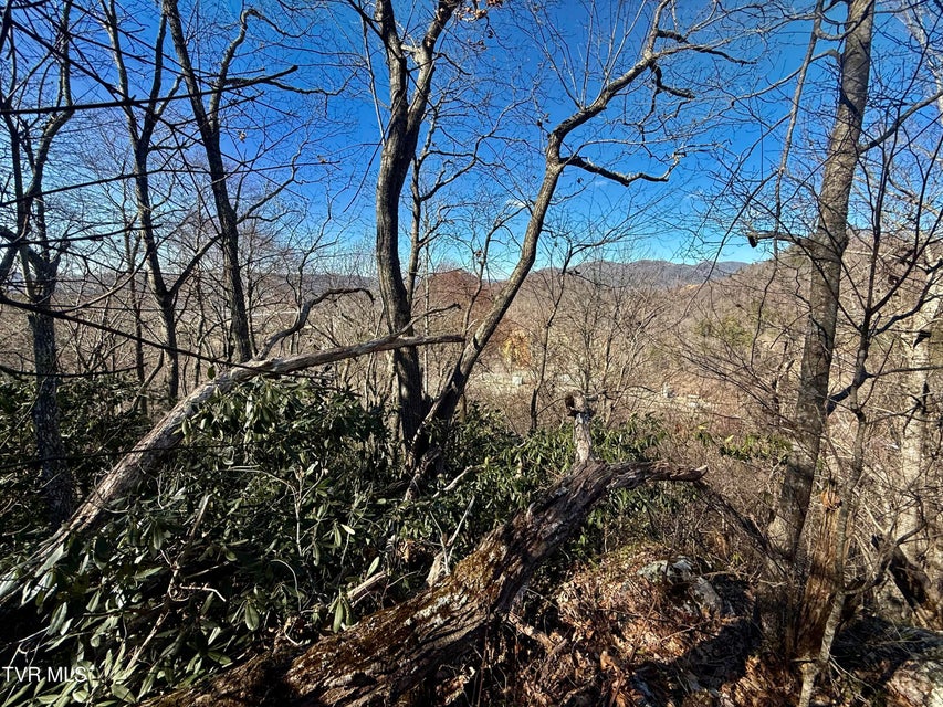 Photo #19: 207/Ac Tbd Highway 421
