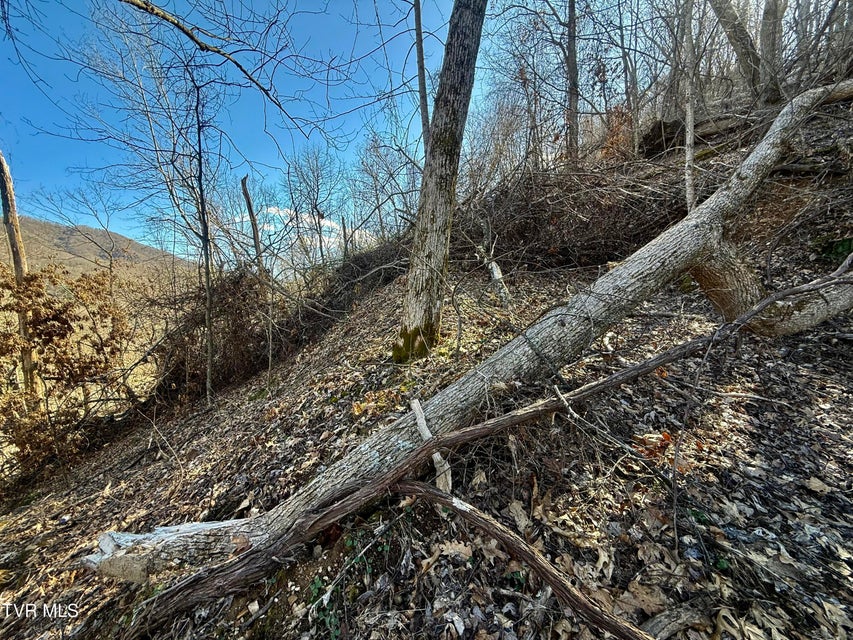 Photo #20: 207/Ac Tbd Highway 421